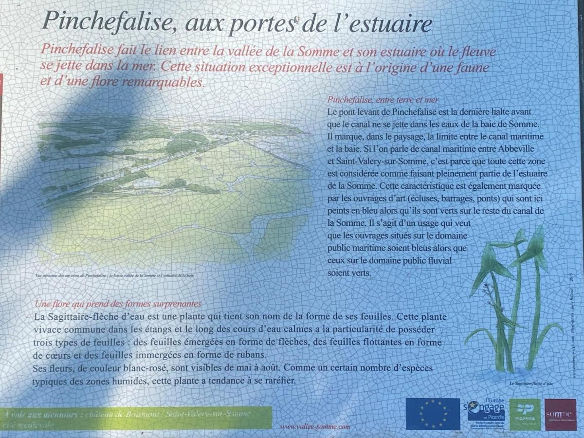 Du Flot - Baie De Somme Boismont (Somme)